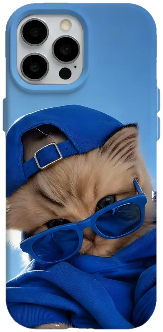 Mavi Şapkalı Havalı Kedi telefon kılıfı