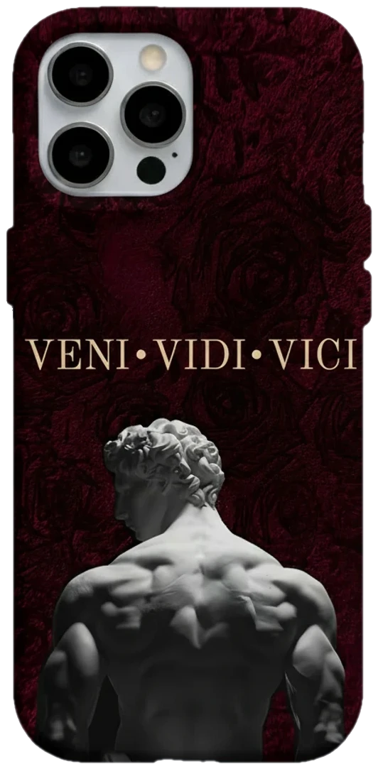 Veni Vidi Vici Heykel telefon kılıfı