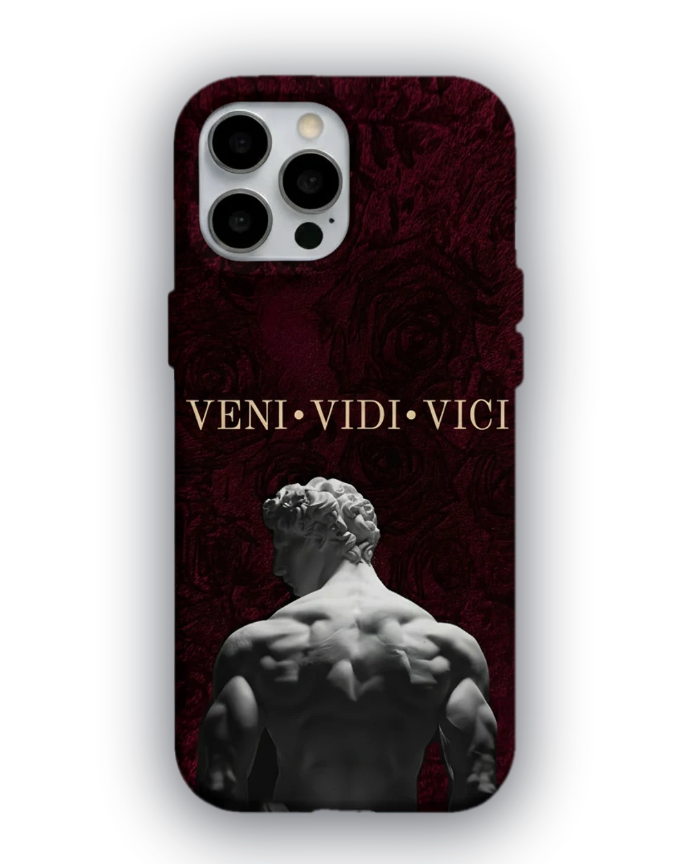 Veni Vidi Vici Heykel telefon kılıfı